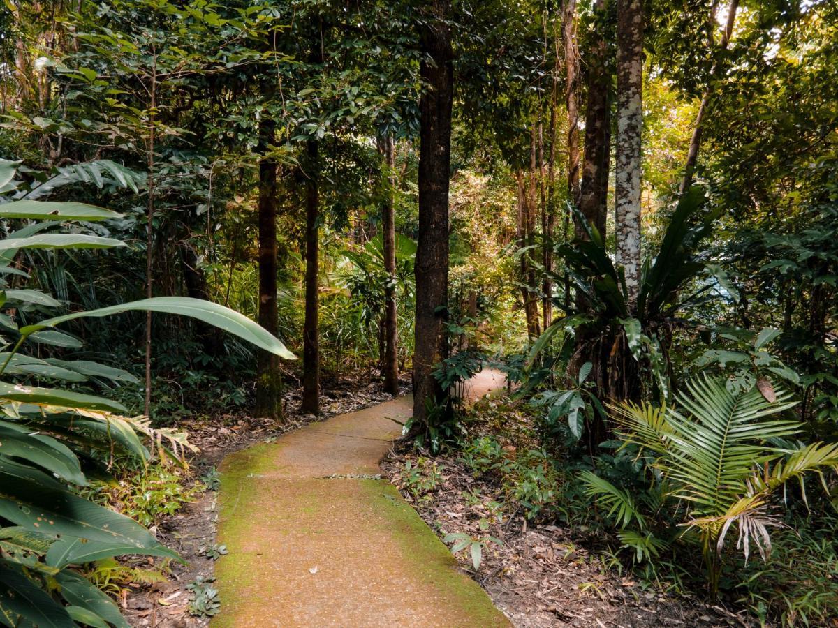 Ferntree Rainforest Lodge Cape Tribulation Exterior foto