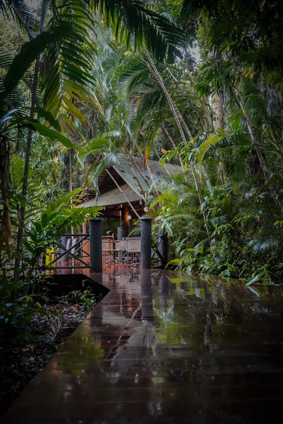 Ferntree Rainforest Lodge Cape Tribulation Exterior foto