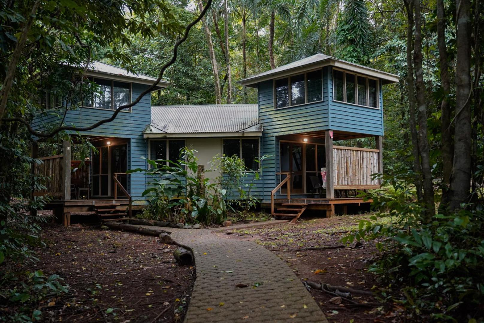 Ferntree Rainforest Lodge Cape Tribulation Exterior foto