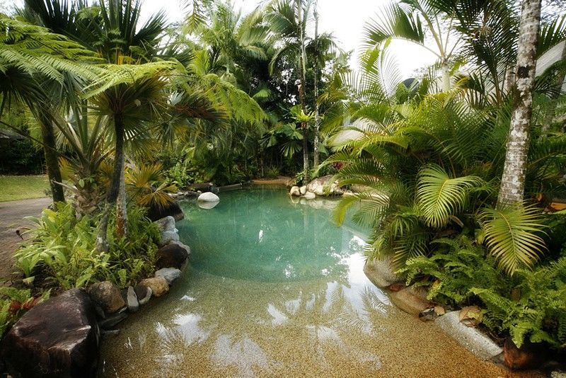 Ferntree Rainforest Lodge Cape Tribulation Facilidades foto