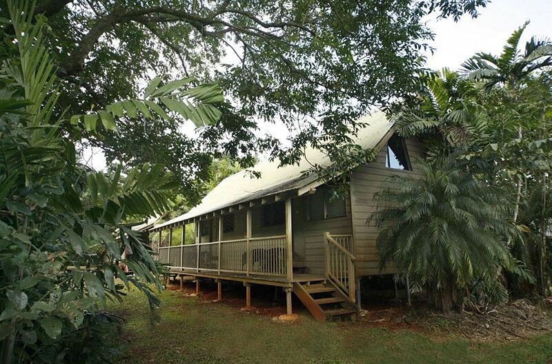 Ferntree Rainforest Lodge Cape Tribulation Exterior foto