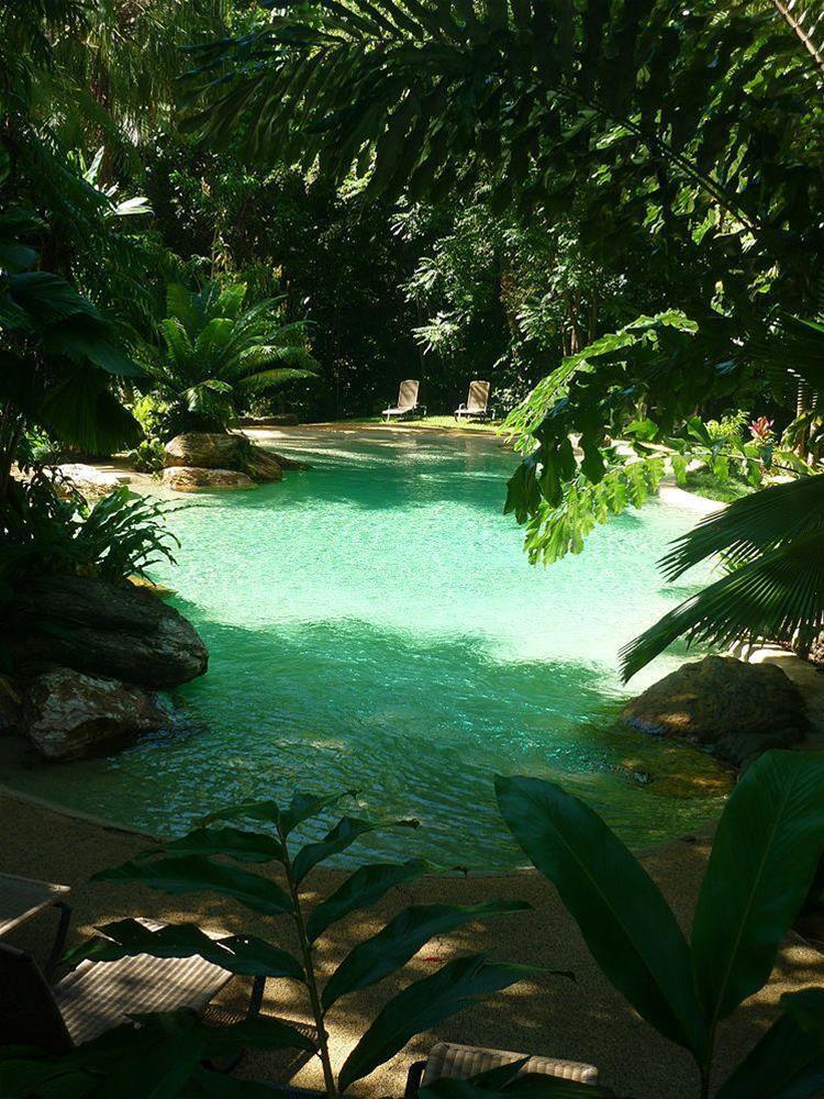 Ferntree Rainforest Lodge Cape Tribulation Exterior foto